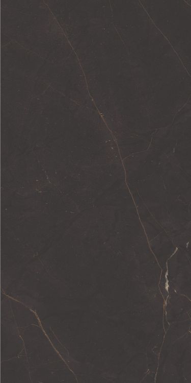 Galaxia Black Levigato (R/L) 12 x 24
